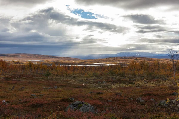 秋天瑞典北部萨莱克国家公园 有选择的重点 — 图库照片