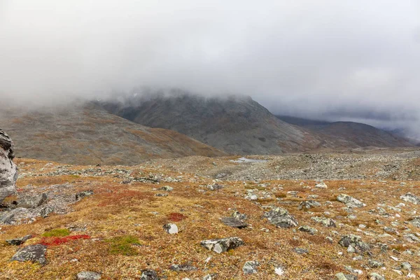 Parco Nazionale Sarek Nel Nord Della Svezia Autunno Focus Selettivo — Foto Stock