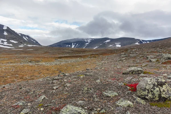 Vadi manzarası. Kuzey İsveç, Sonbaharda fırtınalı havada Sarek Ulusal Parkı. seçici odak