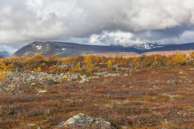 Sonbaharda İsveç 'in kuzeyinde Sarek Ulusal Parkı, seçici odaklı