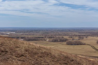 Ormanın yakınındaki bir tarlada bahar manzarası. seçici odak