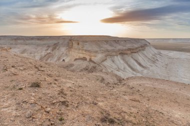 Ustyurt Platosu. Boszhir bölgesi. Kuru bir okyanusun dibinde Tetis. Kazakistan. seçici odak