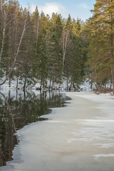Paisaje Invernal Suecia Derretimiento Nieve Lago Enfoque Selectivo — Foto de Stock