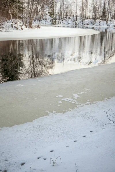 Paysage Hivernal Suède Neige Fondante Sur Lac Focus Sélectif — Photo