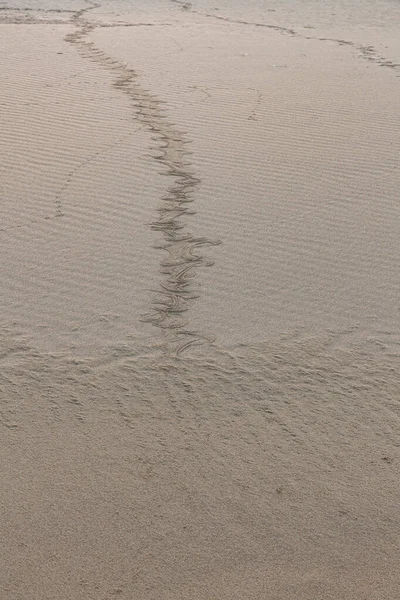 沙中的蛇的踪迹 沙子质感 桑迪海滩为背景 顶部视图 选择性重点 — 图库照片