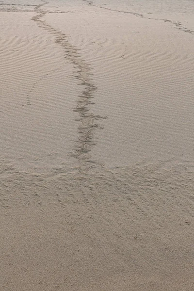 Des Traces Serpent Dans Sable Texture Sable Plage Sable Pour — Photo