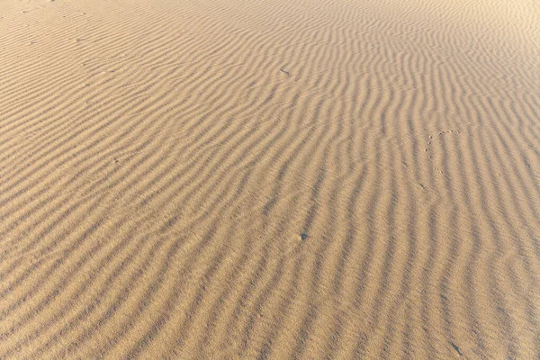 砂の質感 砂浜を背景に 最上階だ選択的焦点 — ストック写真