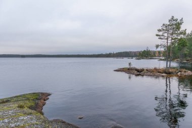 Göl, sakin su, sudaki orman yansıması, bulutlu sonbahar manzarası. İsveç.