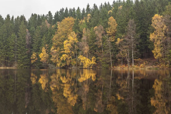 Pequeno Lago Florestal Uma Manhã Ensolarada Outono Parque Nacional Soderasen — Fotografia de Stock