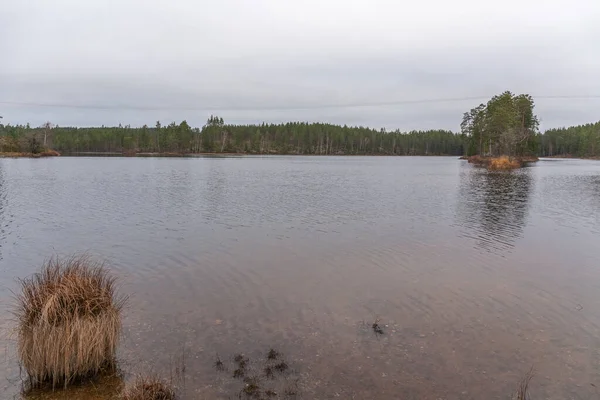 Őszi Táj Svédország Nyugodt Víz Erdei Tükröződés Vízfelhőben — Stock Fotó