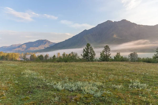 Widok Góry Altai Alpejska Dolina Szczyty Niebieskiej Mgle — Zdjęcie stockowe