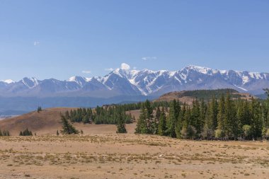 Belukha Dağı manzarası. Şimdi de Altai dağları. Belukha Sibirya 'nın en yüksek zirvesi.