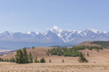 Belukha Dağı manzarası. Şimdi de Altai dağları. Belukha Sibirya 'nın en yüksek zirvesi.
