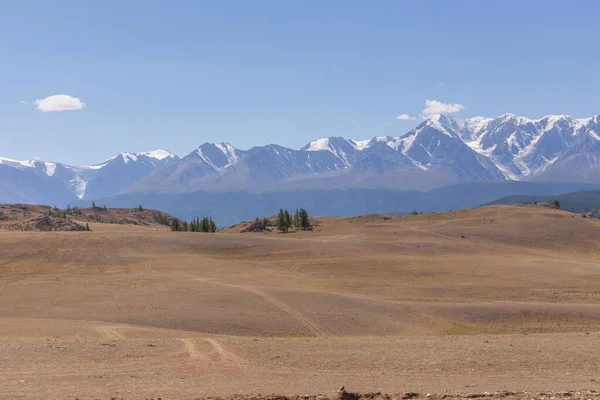 Belukha Dağı manzarası. Şimdi de Altai dağları. Belukha Sibirya 'nın en yüksek zirvesi.