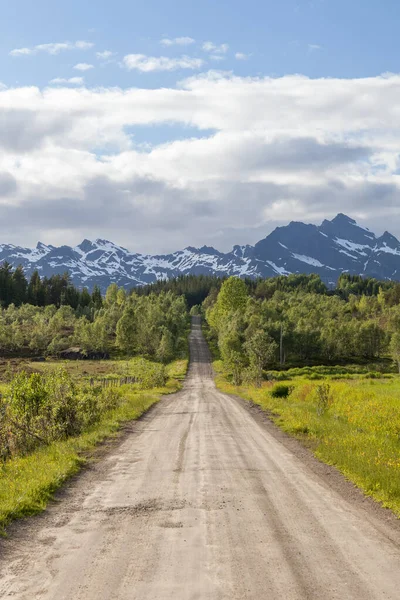Norveç Teki Dağların Arasından Geçen Bir Vadide Norveç Teki Dağların — Stok fotoğraf