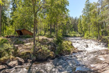 Önünde orman ve nehir olan bir manzara. Güzel manzara, seçici odaklanma, uzun pozlama.