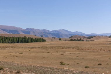 Altai, Rusya Yaz Manzarası. Altai Cumhuriyeti Rusya 'nın etnik cumhuriyetlerinden biridir..