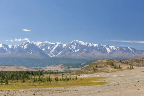 Άποψη Του Βουνού Belukha Ρωσία Όρος Belukha Είναι Μέρος Του — Φωτογραφία Αρχείου