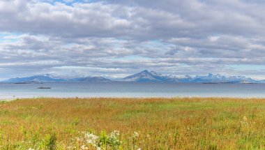 Lofoten Summer Landscape Lofoten Norveç 'in Nordland eyaletinde yer alan bir takımadadır. Dramatik dağları ve zirveleri olan kendine özgü bir manzarası var. seçici odak