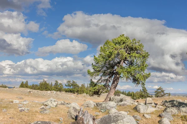 Paisagens Típicas Mongólia Desértico Encostas Vales Montanhos Altai Mongólia — Fotografia de Stock