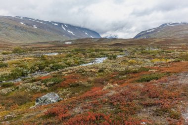 İsveç Laponya 'daki Sarek ulusal parkının güzel vahşi doğası. Karlı dağ zirveleri, nehir ve göl, huş ağacı ve çam ağaçları ormanı. Fırtınalı havada sonbahar renkleri. seçici odak