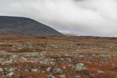 Sonbaharda İsveç 'in kuzeyinde Sarek Ulusal Parkı, seçici odaklı