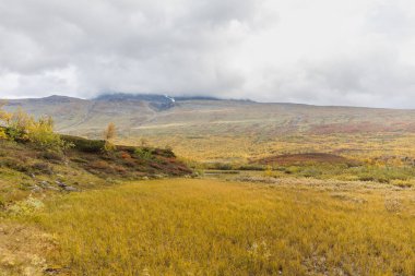 Laponya 'daki Sarek Ulusal Parkı. İsveç dağından seçici bir odak noktası.