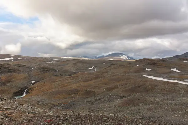 Parco Nazionale Sarek Nel Nord Della Svezia Autunno Focus Selettivo — Foto Stock