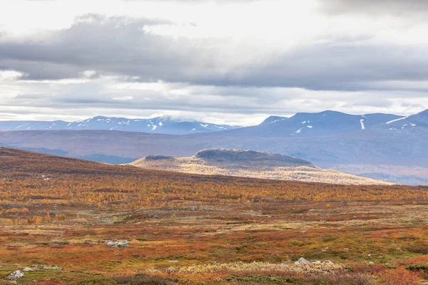 Parque Nacional Las Montañas Sarek Laponia Otoño Suecia Enfoque Selectivo —  Fotos de Stock