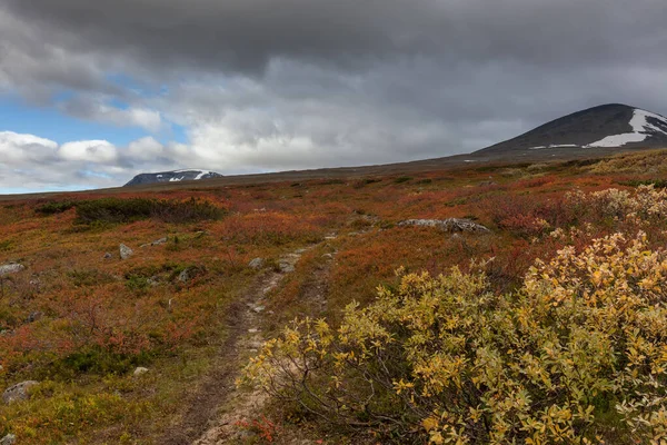 Βουνά Του Εθνικού Πάρκου Σάρεκ Στη Λαπωνία Φθινόπωρο Σουηδία Επιλεκτική — Φωτογραφία Αρχείου