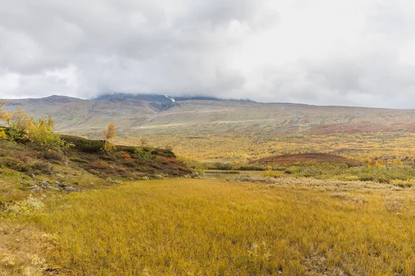 Національний Парк Сарек Лапландії Вигляд Гори Швеція Вибірковий Фокус — стокове фото