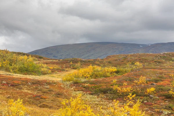 Mountains Sarek National Park Lapland Autumn Sweden Selective Focus — 스톡 사진