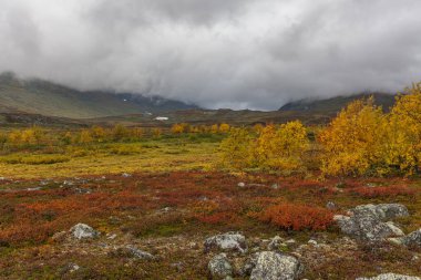 Vadi manzarası. Kuzey İsveç, Sonbaharda fırtınalı havada Sarek Ulusal Parkı. seçici odak