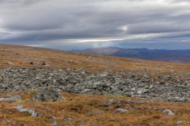 Vadi manzarası. Kuzey İsveç, Sonbaharda fırtınalı havada Sarek Ulusal Parkı. seçici odak