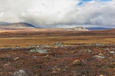 Sonbaharda İsveç 'in kuzeyinde Sarek Ulusal Parkı, seçici odaklı