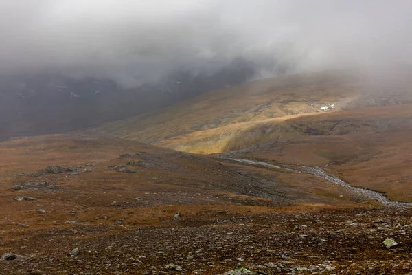 Parco Nazionale Sarek Nel Nord Della Svezia Autunno Focus Selettivo — Foto Stock