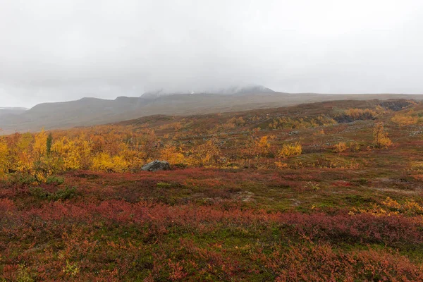 Národní Park Sarek Severním Švédsku Podzim Selektivní Zaměření — Stock fotografie