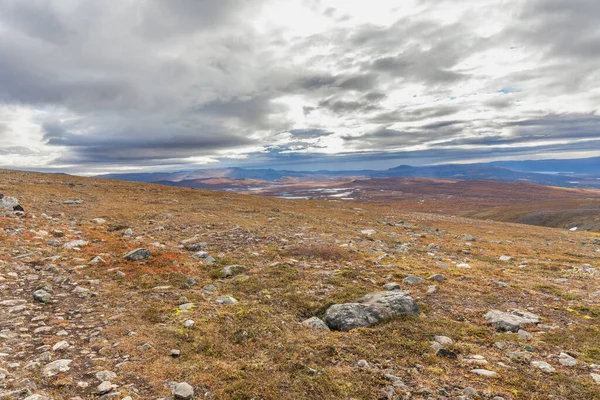 Animal Trail Tourists Use High Mountains Sarek Sweden Selective Focus — 스톡 사진