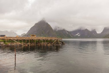 Güzel Norveç 'te yaz gezisi. Seyahat hafta sonu, tatil. İskandinav ülkeleri, kurumuş codseltive odak.