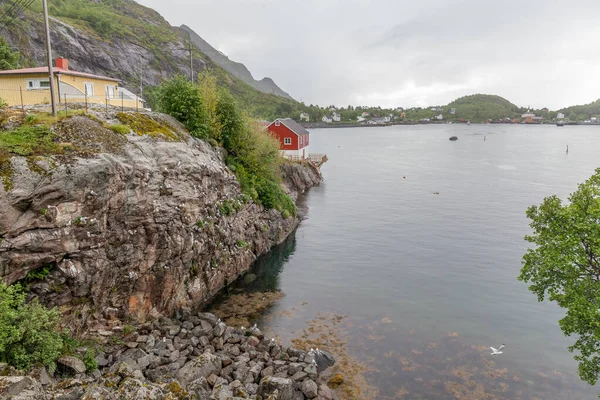 Viaje Verano Hermosa Noruega Fin Semana Vacaciones Países Escandinavos Enfoque — Foto de Stock