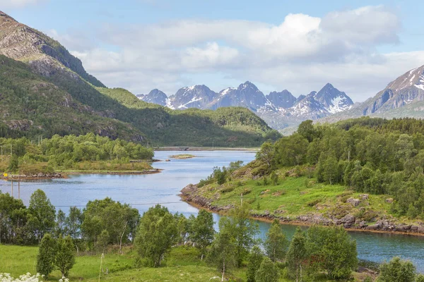 Piękny Widok Norweskich Fiordów Turkusową Wodą Otoczoną Zachmurzonym Niebem Selektywne — Zdjęcie stockowe