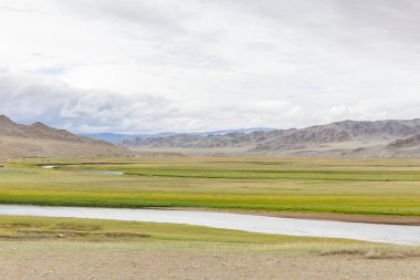 Tipik Moğol manzarası. Moğol Altai, Moğolistan