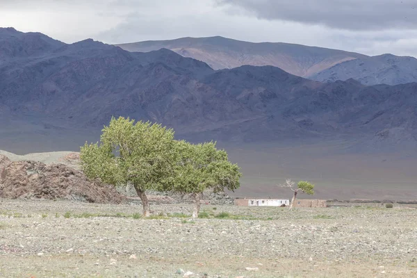 モンゴルの典型的な風景です 山の斜面と谷 モンゴルのアルタイ — ストック写真