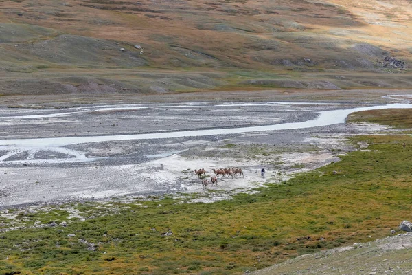 Tipik Moğolistan Manzaraları Dağ Yamaçları Vadiler Altai Moğolistan — Stok fotoğraf