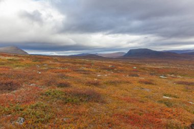 Laponya 'daki Sarek Ulusal Parkı Dağları, Sonbahar, İsveç, Seçici Odaklanma