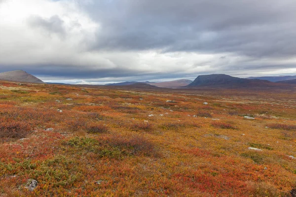 Mountains Sarek National Park Lapland Autumn Sweden Selective Focus — 스톡 사진