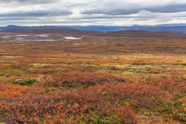 Laponya 'daki Sarek Ulusal Parkı Dağları, Sonbahar, İsveç, Seçici Odaklanma