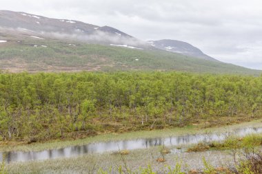 İsveç 'in kuzeyindeki, neredeyse Norveç sınırına kadar uzanan, karla kaplı bir dağın güzel manzarası. Yumuşak yumuşak beyaz bulutlarla.