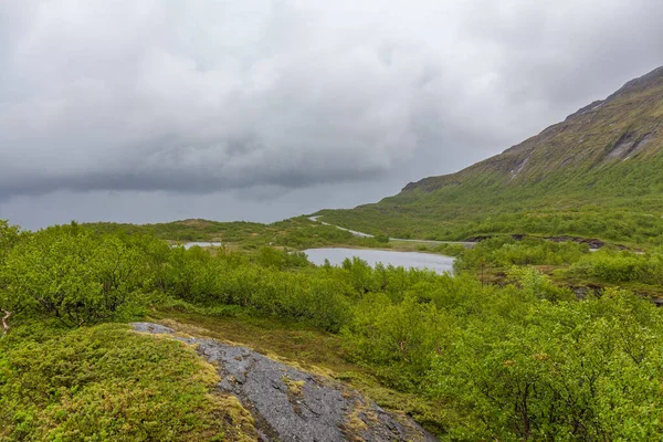 ノルウェーの山の間の谷を通る道路 ノルウェーの山の間の谷を通る選択的な道路 選択的な焦点 — ストック写真