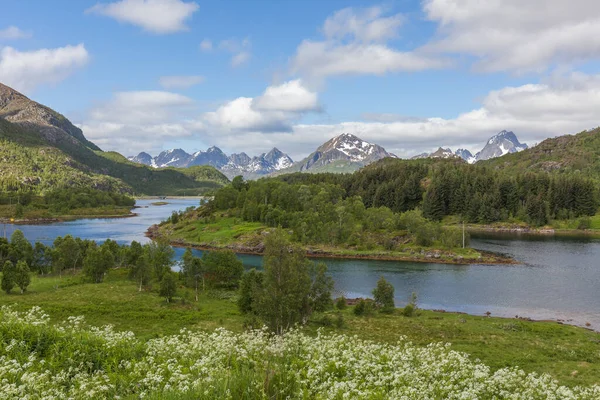 Piękny Norweski Krajobraz Widok Fiordy Norwegia Idealne Odbicie Fiordu Czystej — Zdjęcie stockowe